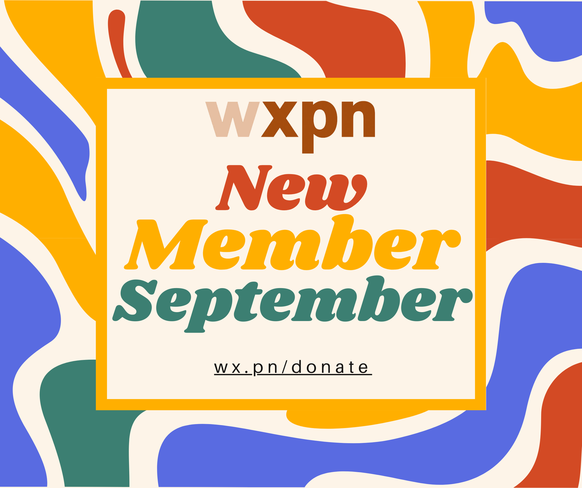 New Member September 2024