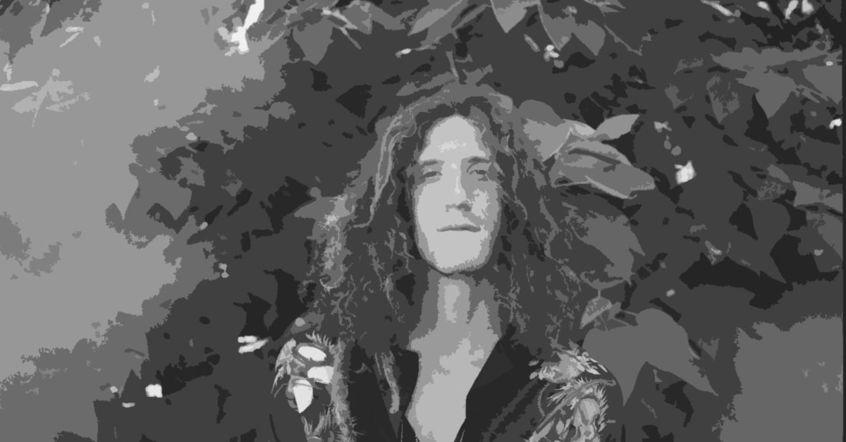 David Shaw on World Cafe